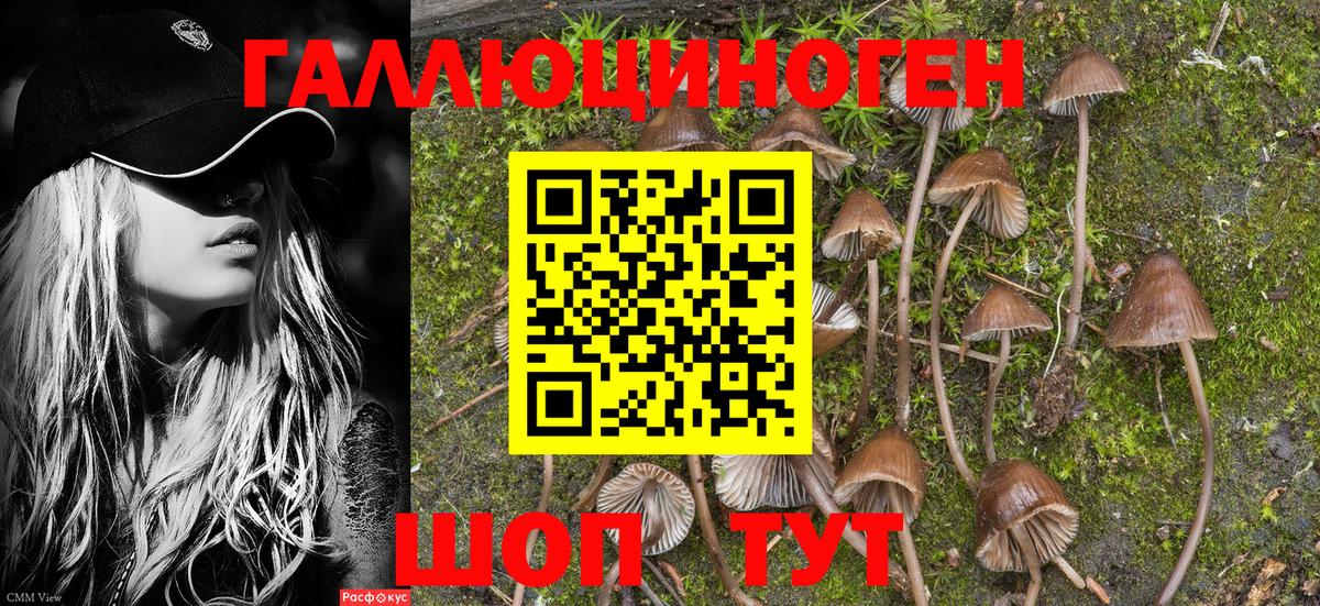 Серов  Псилоцибиновые грибы Magic Shrooms  Вход с VPN 